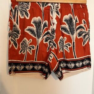Express Red and Black Flat Front Shorts